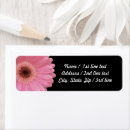Search for gerber return address labels Daisies