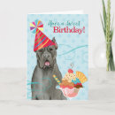 Search for mastiff birthday cards Cane corso