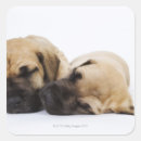 Search for sleeping dog stickers Togetherness