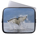Search for tail laptop cases Ocean