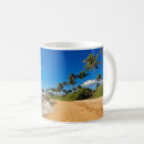 Search for wailea mugs Hawaii