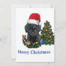 Search for poodle christmas cards Pets