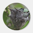Search for adorable photography Nature