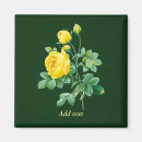 Search for rosebud magnets Roses
