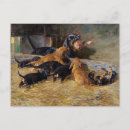 Search for dachshund puppy postcards Animal
