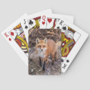 Search for predator playing cards Animal