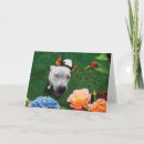 Search for butterfly dog cards Animals