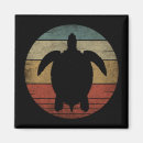 Search for tortoise magnets Vintage