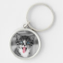 Search for selected key rings Kitten