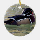 Search for wood duck christmas tree decorations Nature