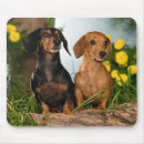 Search for dashounds mousepads Doxie