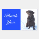 Search for labrador retriever stickers Puppy