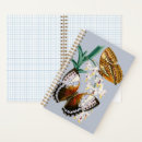 Search for butterfly notebooks Illustration