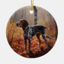 Search for coonhound christmas tree decorations Pet
