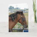 Search for hitch cards Amish