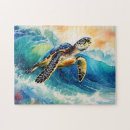 Search for turtle puzzles Colourful