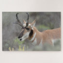 Search for danita delimont puzzles Fawn