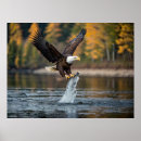 Search for catch fish posters Bird
