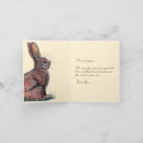 Search for rabbits note cards Animals