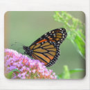 Search for monarch butterfly electronics Garden