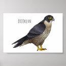 Search for peregrine falcon posters Falco peregrinus