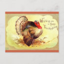 Search for clapsaddle Turkey