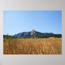 Search for irons posters Flat
