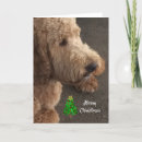 Search for airedale terrier dog cards Pets