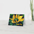 Search for abstract floral cards Daisy