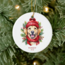 Search for labrador christmas tree decorations Dog photo