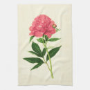 Search for vintage flower print tea towels Botanical illustration