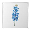 Search for texas wildflower tiles Floral