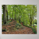 Search for stone steps posters Nature