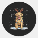 Search for labrador stickers Yellow lab