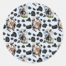 Search for cow skin stickers Farm