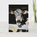 Search for goofy cards Animal