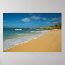 Search for molokai posters Beach