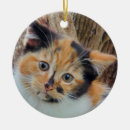 Search for calico cat christmas tree decorations Cute