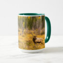 Search for elks mugs Rocky mountain