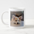 Search for sleepy mugs Dog