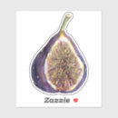 Search for figs stickers Watercolor