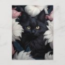 Search for black and white flowers postcards Beautiful