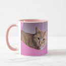 Search for orange tiger mugs Photography