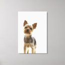 Search for yorkshire terrier canvas prints Full length