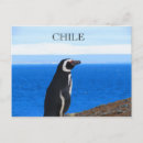 Search for patagonia postcards Torres del paine