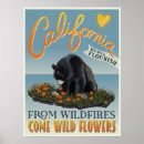 Search for wildfires posters California