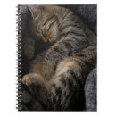 Search for tabby cat notebooks Young animal