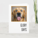 Search for goofy cards invites Silly