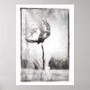 Search for masquerade posters Masks