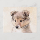Search for shetland sheepdog postcards Puppy